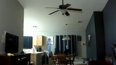 sissforyou online show from March 4, 10:24 am