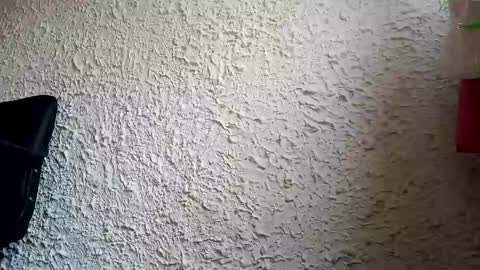 TOMY online show from January 16, 12:31 pm