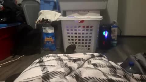 skindog1551 online show from November 2, 8:25 am