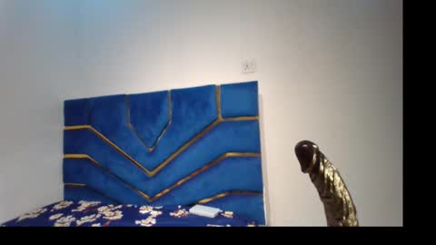 skinnyasssexyboobs online show from January 10, 7:36 am