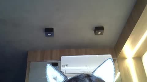 skinnykittencam online show from September 30, 9:20 am