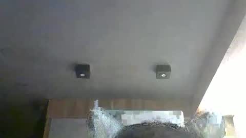 skinnykittencam online show from January 6, 10:47 pm