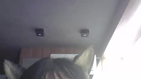 skinnykittencam online show from March 7, 2:00 am