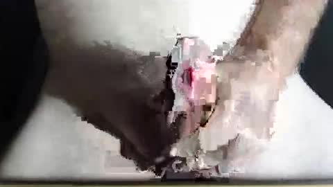 Z online show from March 5, 8:40 pm