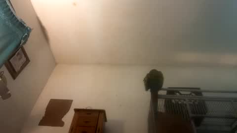 Fun time online show from March 8, 1:39 am