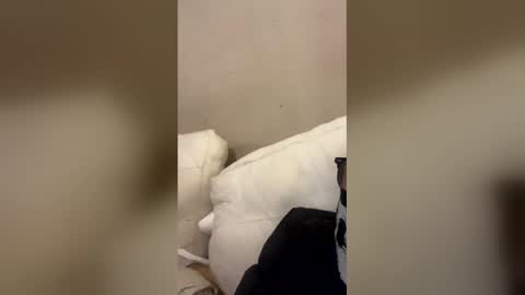 smallcock1406 online show from February 23, 5:48 pm