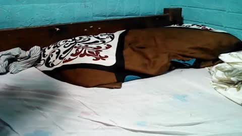 jess online show from February 7, 4:37 am