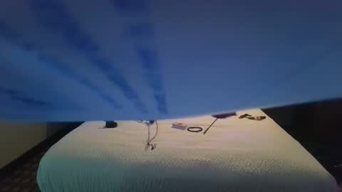 love bug online show from October 26, 8:48 am