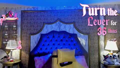    Schedule 1400 - 2100 gtm-5  online show from February 25, 1:58 pm