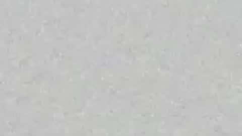 Sofia online show from June 17, 4:17 am