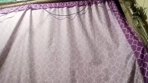 soft_bads online show from September 11, 12:39 pm