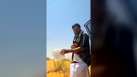 Arabic cock online show from August 5, 8:33 am