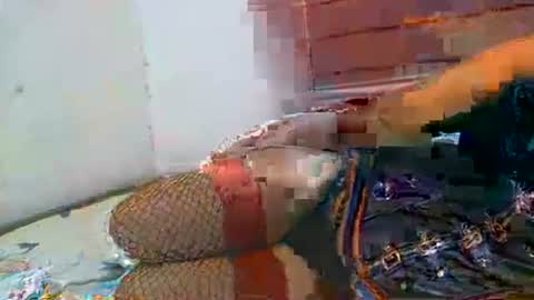 Soulless Jenica online show from April 21, 2:26 am