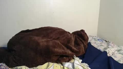 dela online show from February 2, 3:43 am