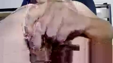 c2c online show from November 10, 3:04 pm