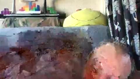 srekos38 online show from February 5, 8:18 am