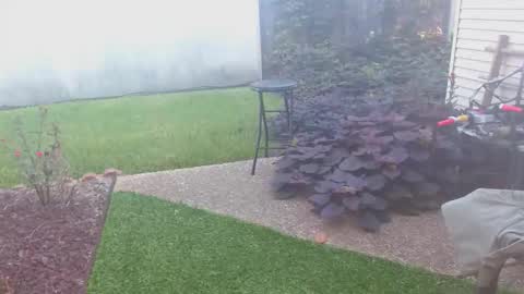 srtxshow online show from October 16, 1:44 pm