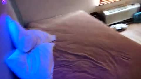 Straightupdownbad online show from November 23, 7:23 pm