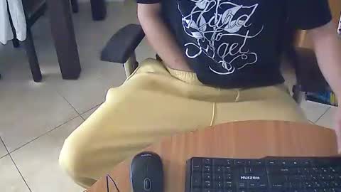 stallionvip online show from January 12, 11:06 am