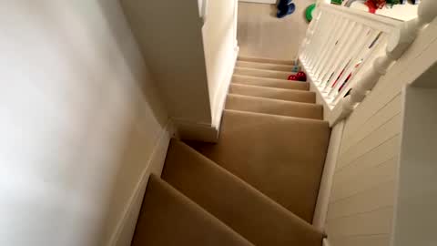 9inches online show from March 1, 3:49 pm