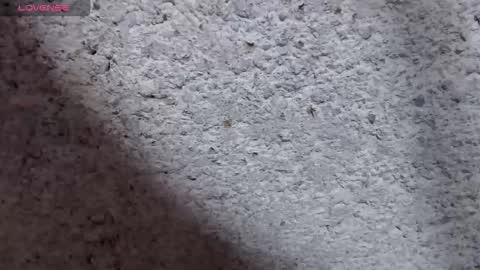 stefany_pablo1 online show from September 11, 11:55 am