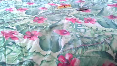 Rocco-load online show from April 4, 2:13 pm