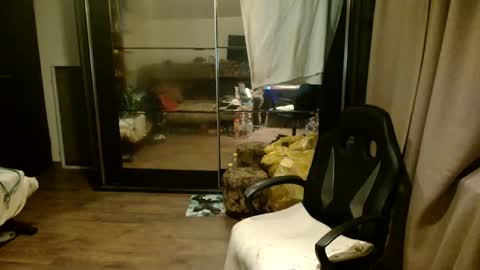 Steve Oakenshield son of John son of Vasyl online show from October 13, 2:13 am