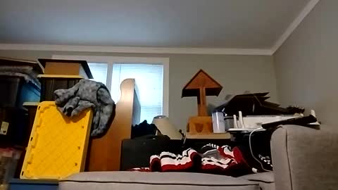 Streetwyze online show from October 25, 12:38 pm