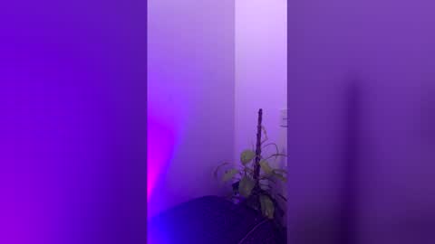 straight_boys_hornys online show from December 20, 11:50 am