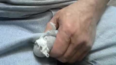 strokeone7 online show from April 2, 12:18 am