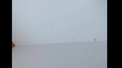 stronganddelicious online show from November 27, 10:06 pm