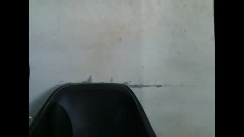 sugarxpussy online show from May 21, 8:32 am