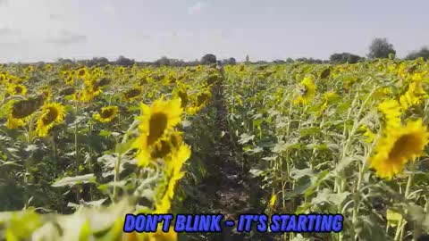 Tina. Im topless model  online show from March 3, 9:05 am