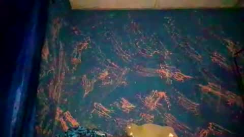 Sunnyblack2 online show from April 7, 11:45 am