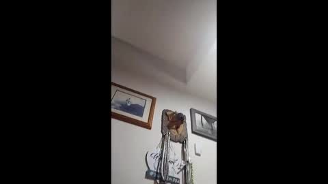 surfdude777888 online show from May 16, 12:26 pm