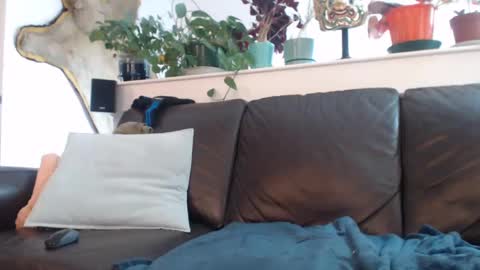 Otto online show from March 11, 10:42 pm