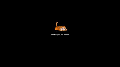 Brad online show from June 10, 4:01 am