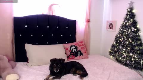 Hannah online show from December 5, 2:15 pm