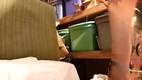 syevecrl online show from December 2, 8:56 am