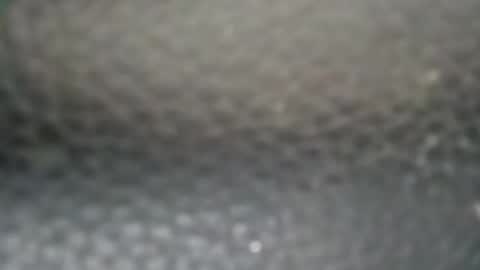 sykotc123292960 online show from September 10, 8:10 pm