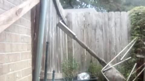 Snapshot of tadfn chatting on November 1, 10:20 pm tadfn online show from November 1, 10:20 pm