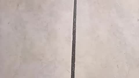 tall6feet7inch online show from September 23, 11:26 am