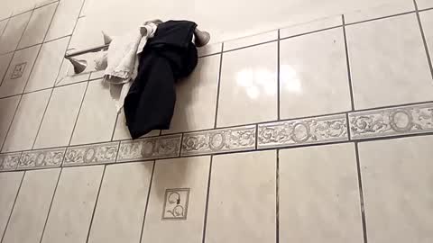 tall6feet7inch online show from September 25, 10:44 am