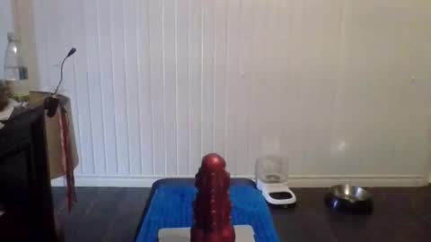 tallman_007 online show from November 21, 5:55 pm