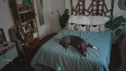 Lilith Eden  sometimes Eve online show from October 21, 11:08 pm