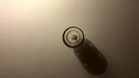 tastytexas24 online show from April 4, 11:01 pm