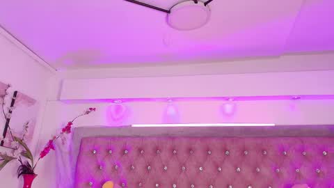 Sofia online show from November 25, 1:54 pm