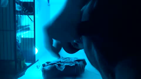 Snapshot of tboy833 chatting on February 14, 2:39 am Luis online show from February 14, 2:39 am