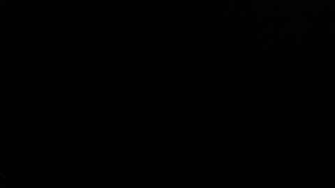 queen online show from February 28, 2:20 pm