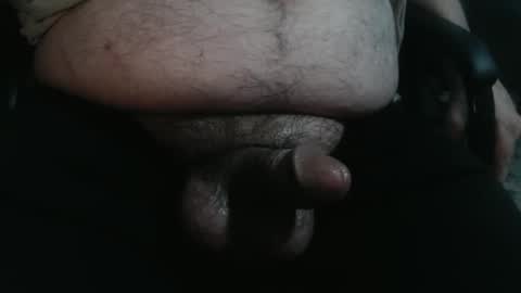 Templargeor online show from September 24, 3:02 am